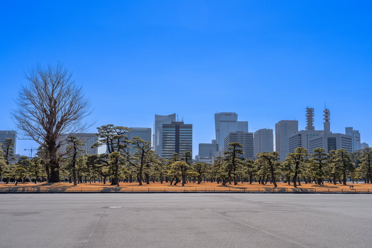 Panoramic view of Tokyo skyline above the serene Imperial Palace Gardens.