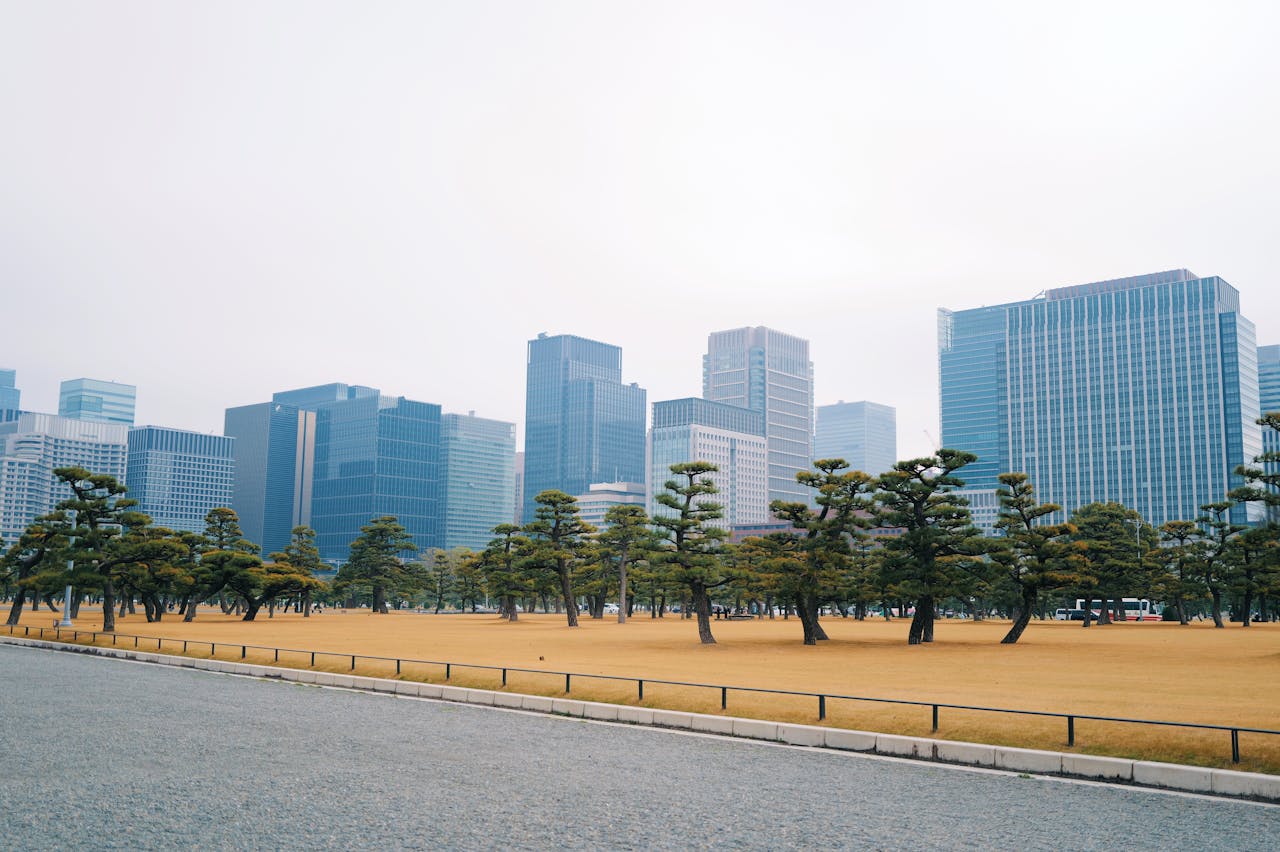 Skyline of Tokyo city with trees from Kokyo Gaien National Garden, perfect for urban travel themes.