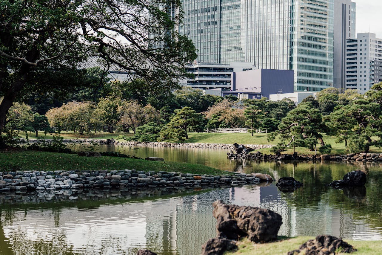 Serene Japanese garden with skyscrapers in the background, blending nature and city.