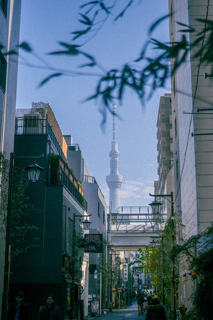 View of Tokyo Skytree through a city alleyway with buildings and foliage.