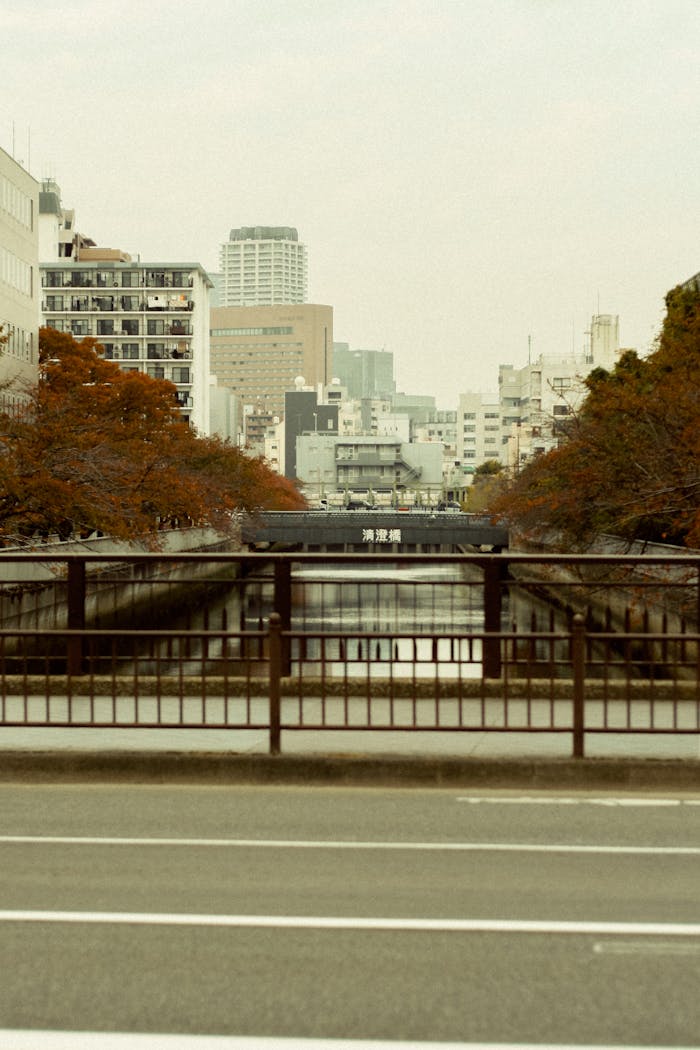 A serene view of a Japanese canal lined with autumn trees and modern city buildings.